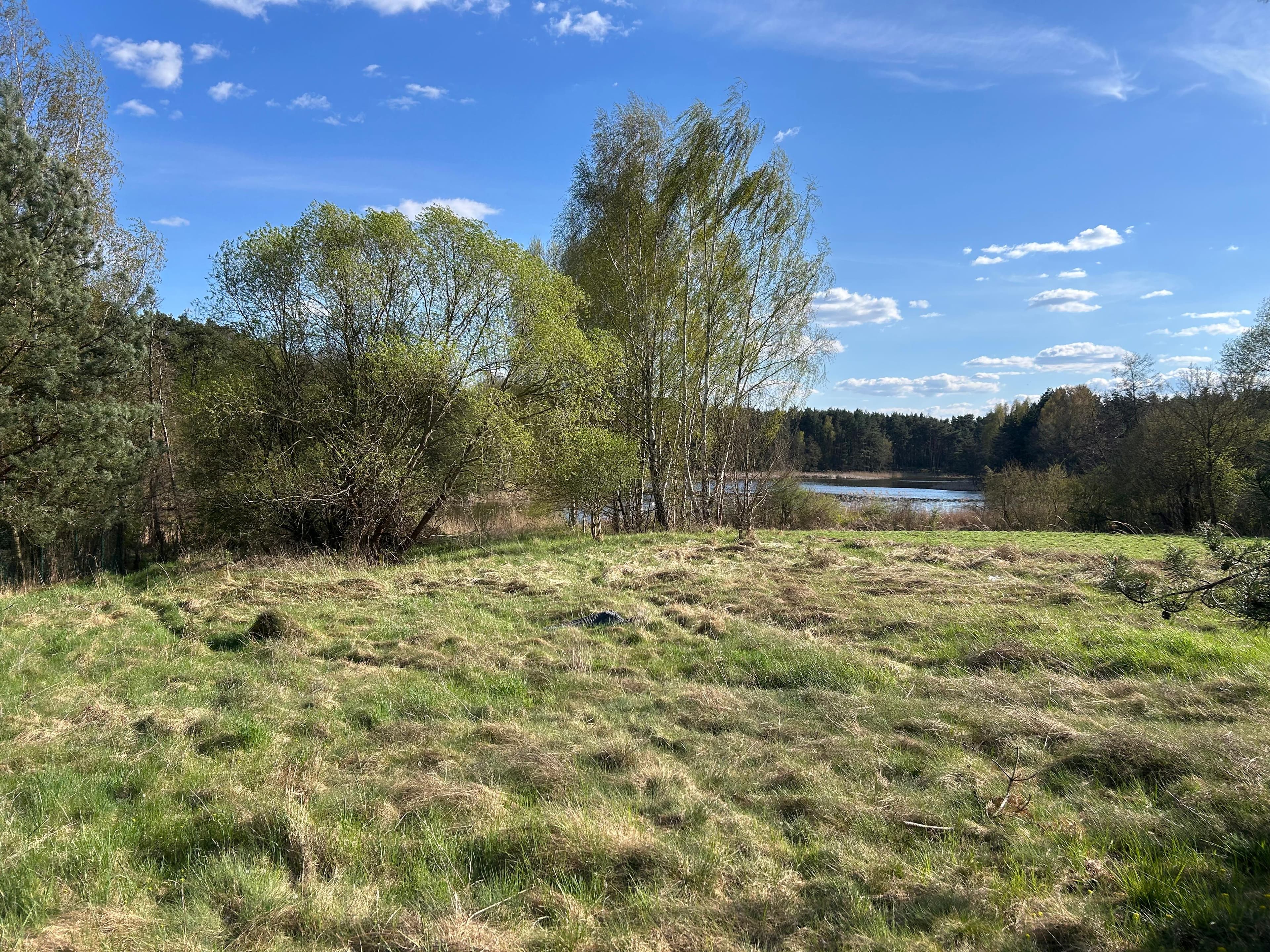 1.jpeg