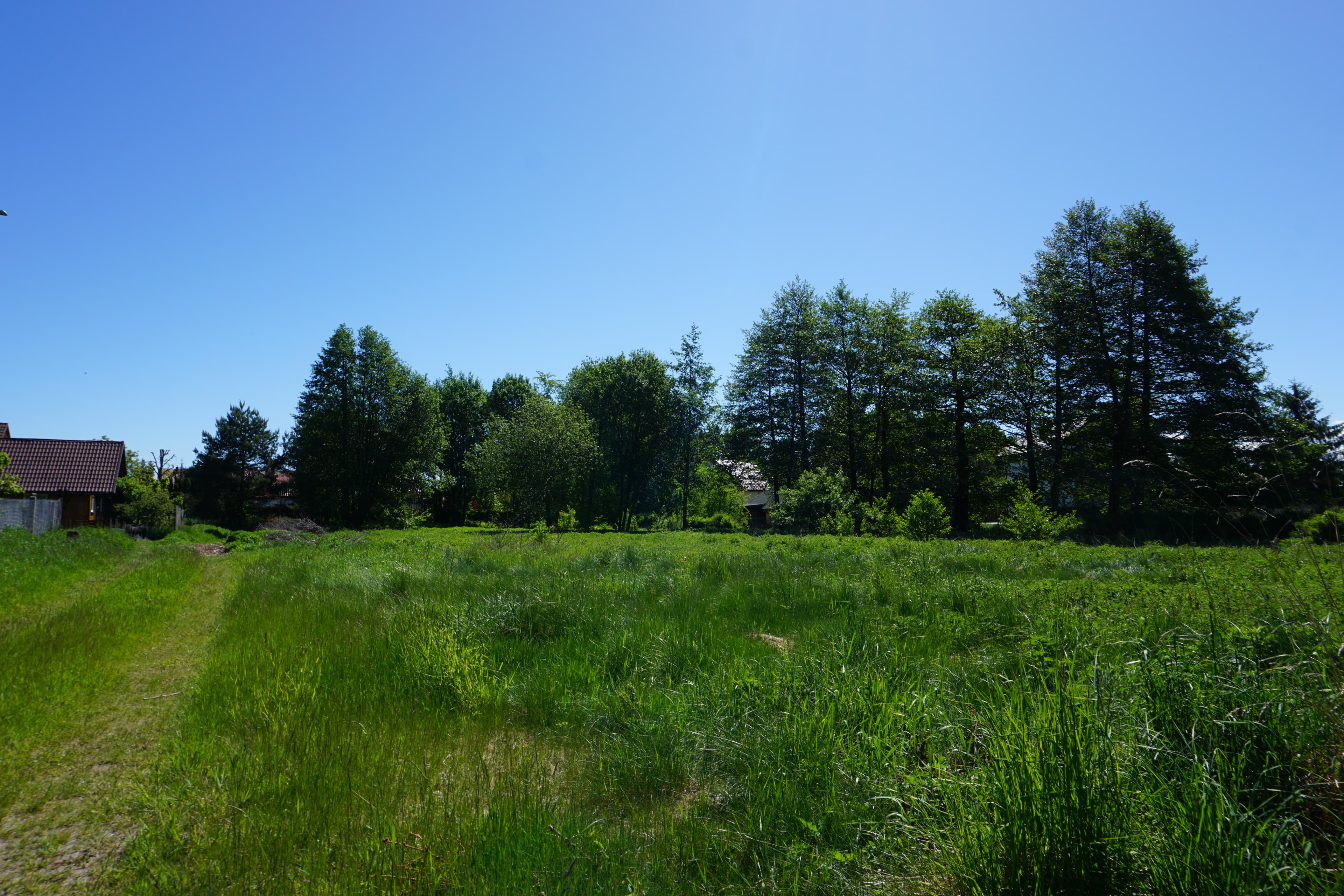DSC00980.JPG