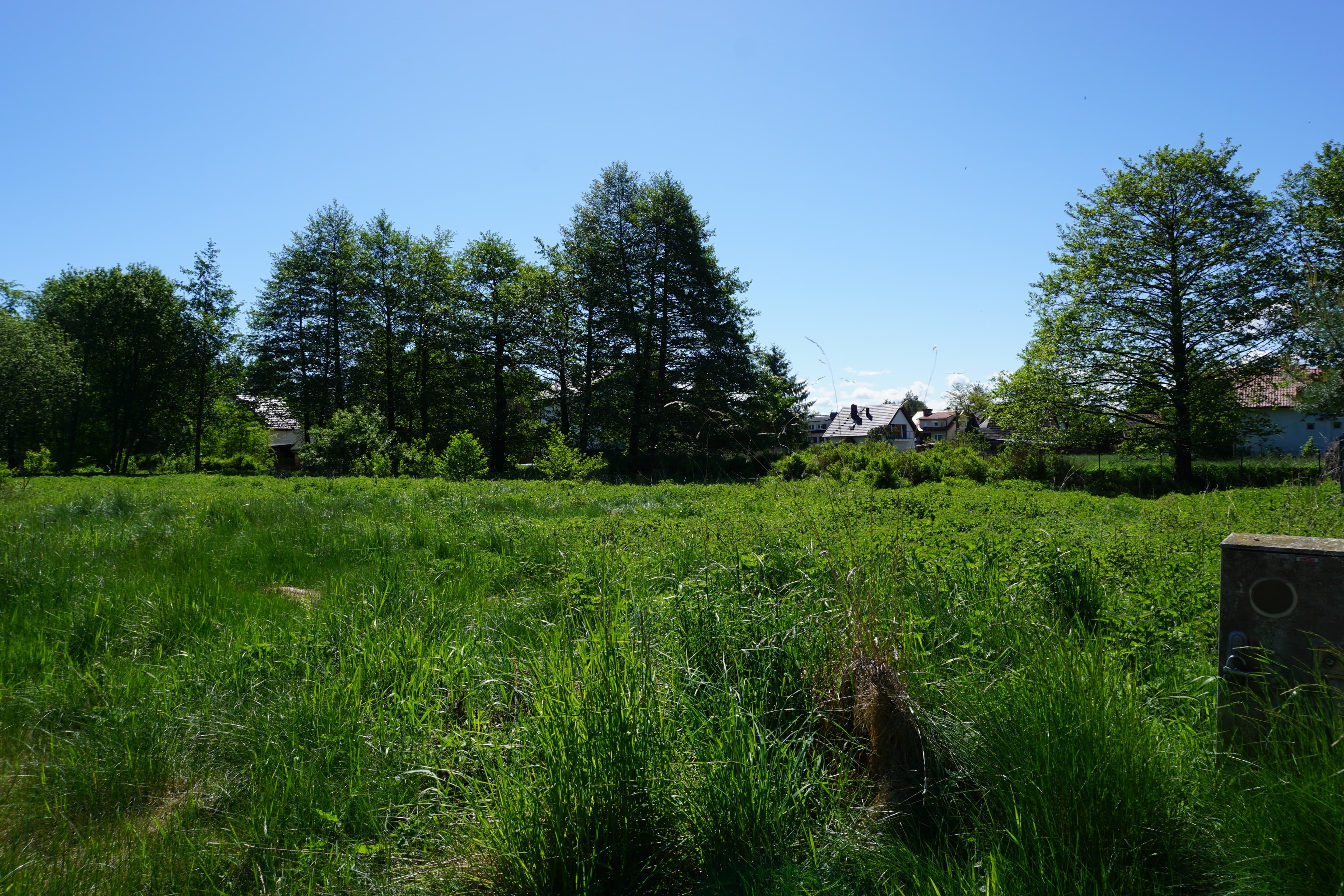 DSC00981.JPG