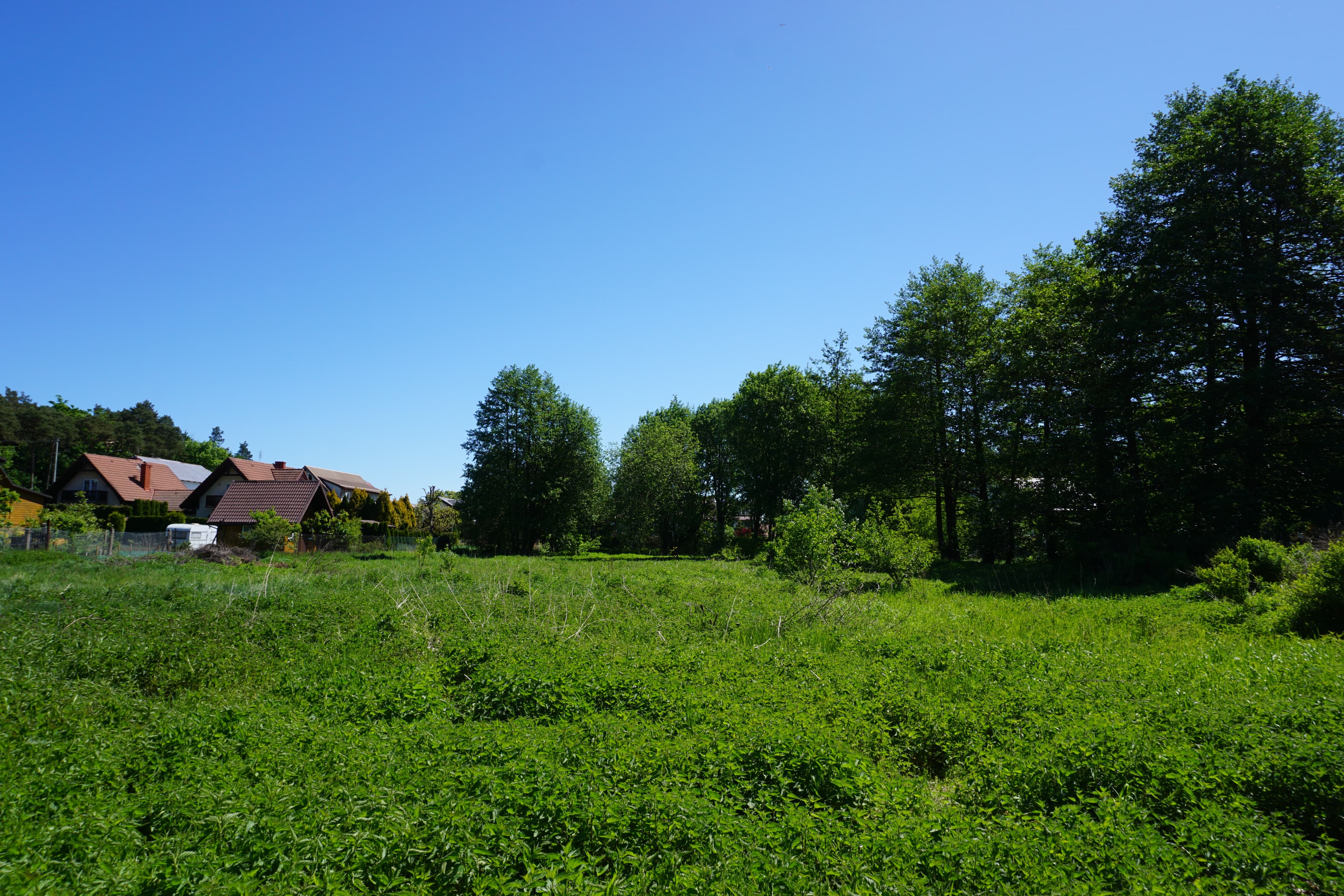 DSC01011.JPG