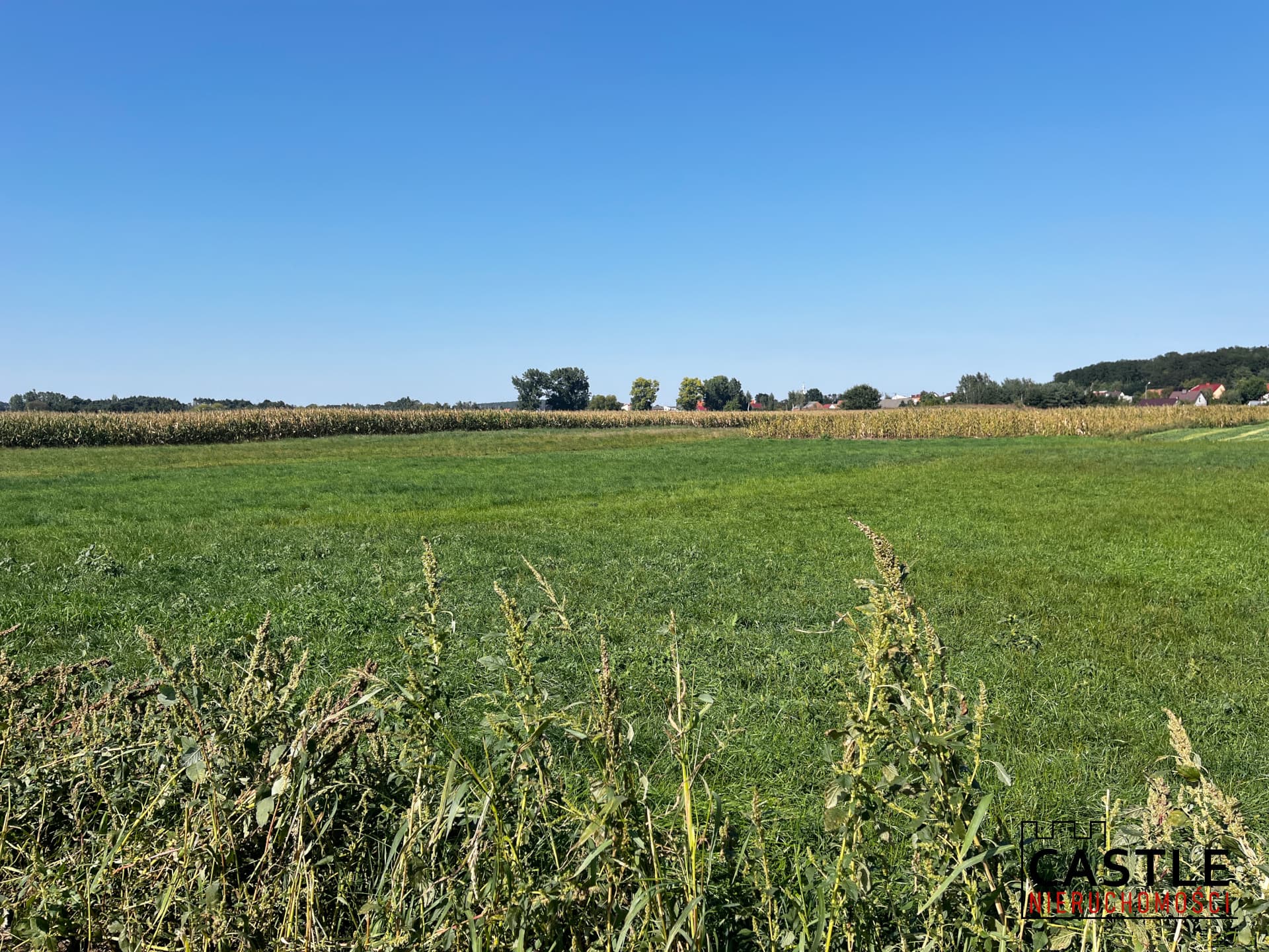 IMG_3843.JPG
