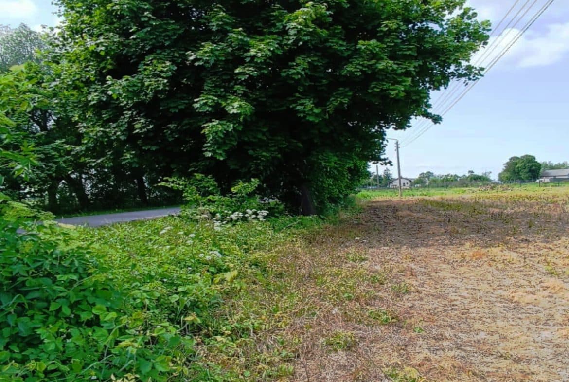 Działka w Groszkowie – 7km od plaży I Mierzeja Wiślana I cisza i spokój