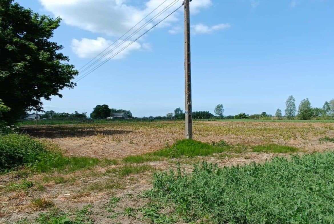 Działka w Groszkowie – 7km od plaży I Mierzeja Wiślana I cisza i spokój