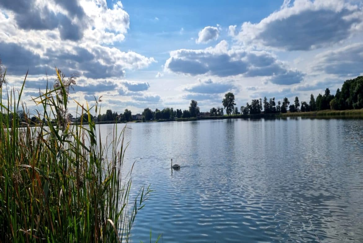 Działka nad jeziorem.