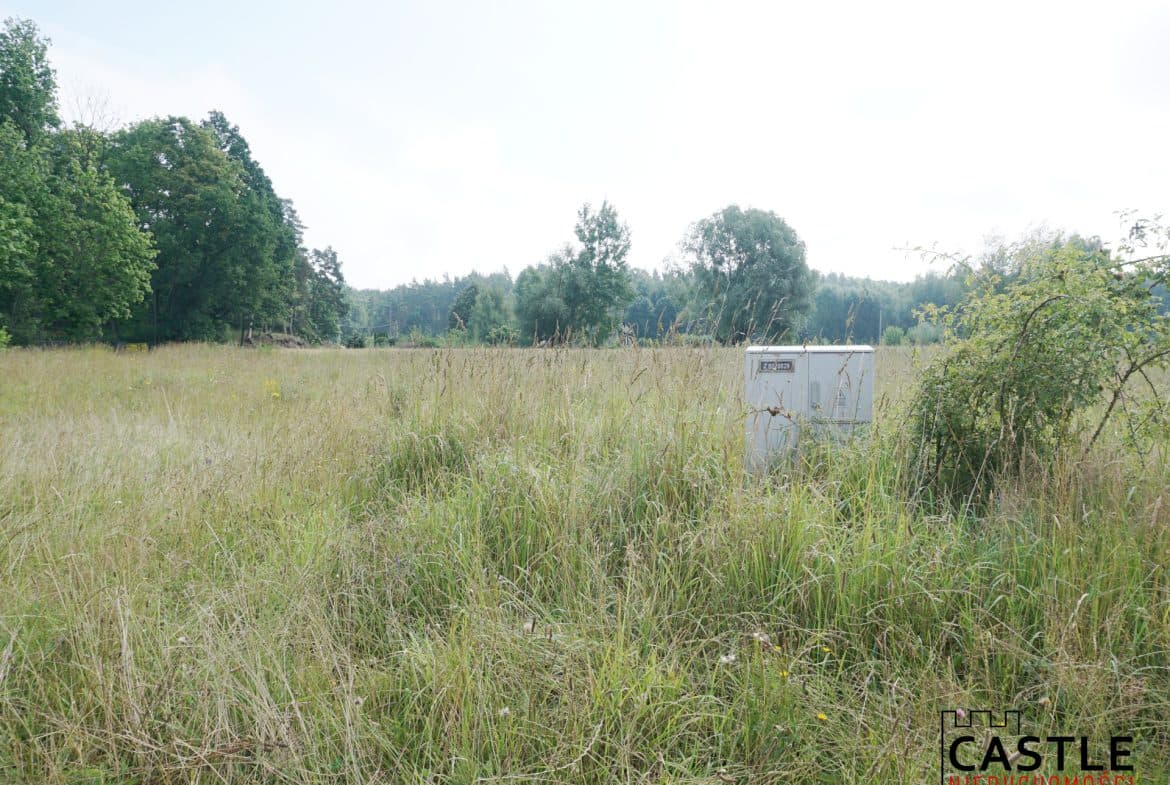 3 działki w jednym kompleksie – Mikoszewo