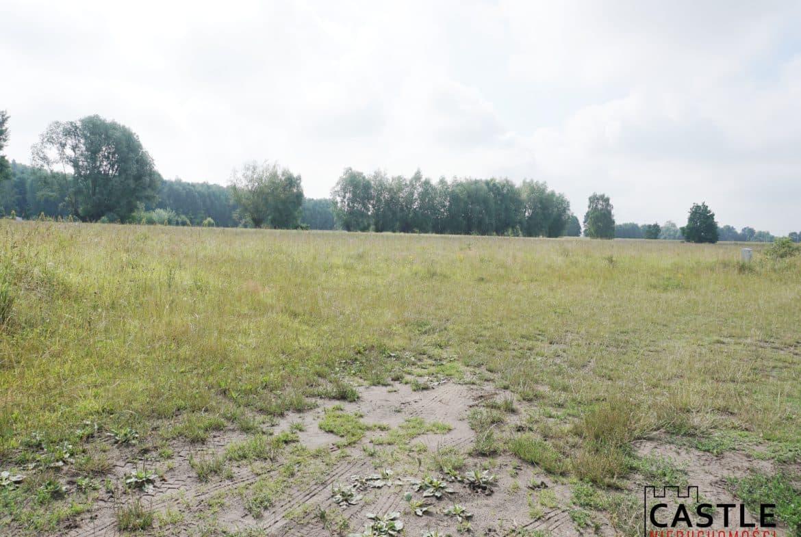 3 działki w jednym kompleksie – Mikoszewo
