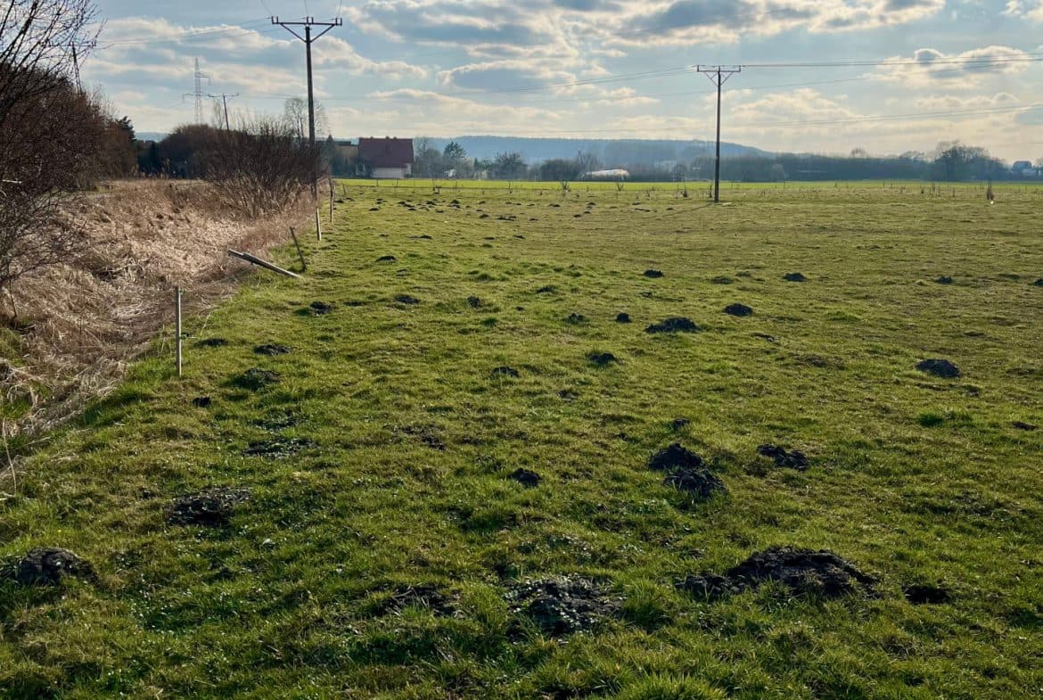 Oaza spokoju|Działki w malowniczej Redzie