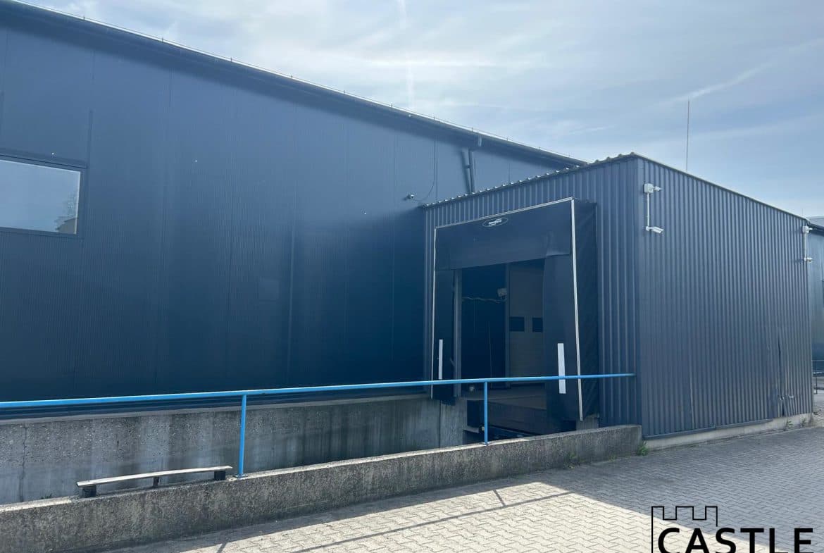 Hala magazynowo-produkcyjna – Swarzędz, 995m2
