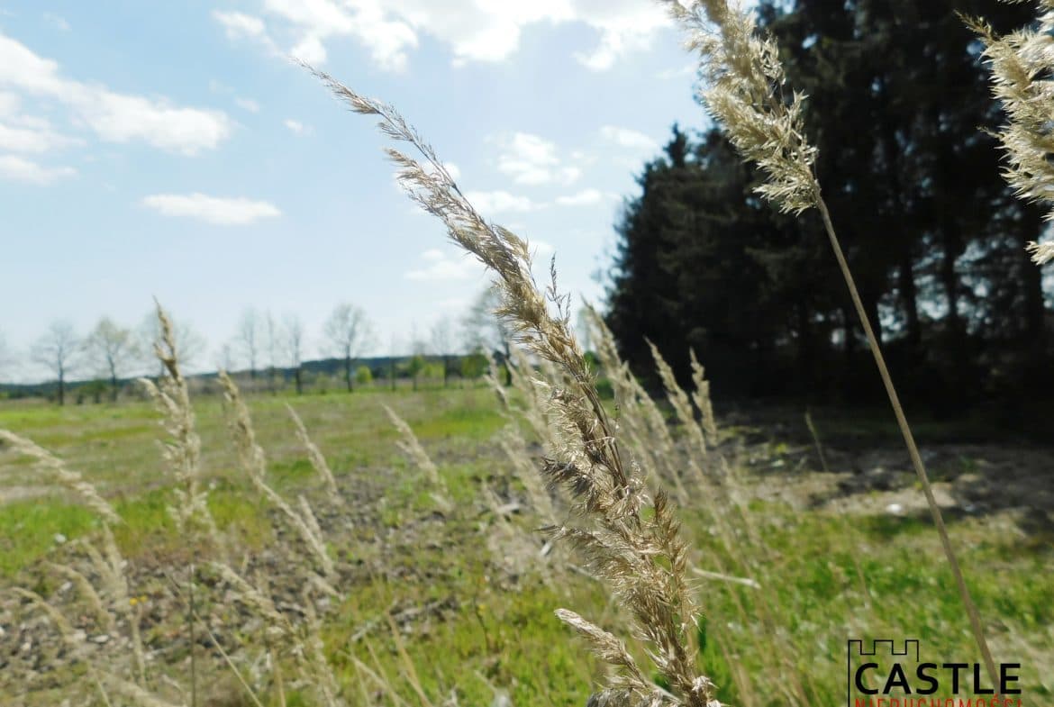 Zapraszam do zapoznania się z ofertą sprzedaży działki budowlanej położonej w miejscowości Mieściska, gmina Duszniki.

To idealne miejsce na Twój dom, z dala od wielkomiejskiego zgiełku, w bliskim sąsiedztwie lasu.

Powierzchnia: 1248 m2

Cena: 150 000 PLN

Działka objęta miejscowym planem zagospodarowania przestrzennego z przeznaczeniem. W bliskim sąsiedztwie domy jednorodzinne. Działka znajduje się w atrakcyjnej lokalizacji, w otoczeniu przyrody, idealna dla osób szukających spokojnego miejsca do życia, a jednocześnie z łatwym dostępem do infrastruktury.

Media w drodze.

Działka sucha, bezpośrednio dostęp do drogi.

Zapraszam do kontaktu!

Nr oferty w biurze : 26/S/JPR/10

Powyższy opis ma charakter informacyjny i nie stanowi oferty w rozumieniu przepisów Kodeksu Cywilnego, a dane w nim zawarte mogą ulec zmianie.